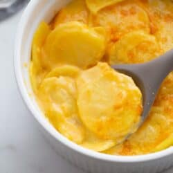 A ceramic bowl of instant pot scalloped potatoes.